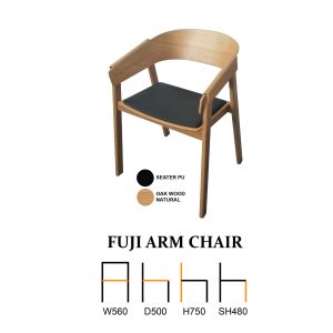 Fuji Arm Chair