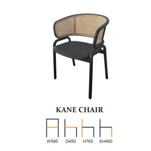 Kane Chair