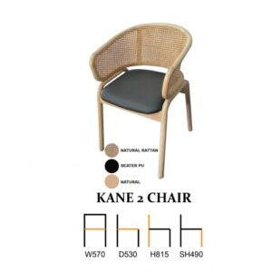 Kane 2 Chair