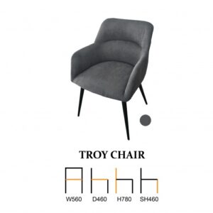 Troy Chair